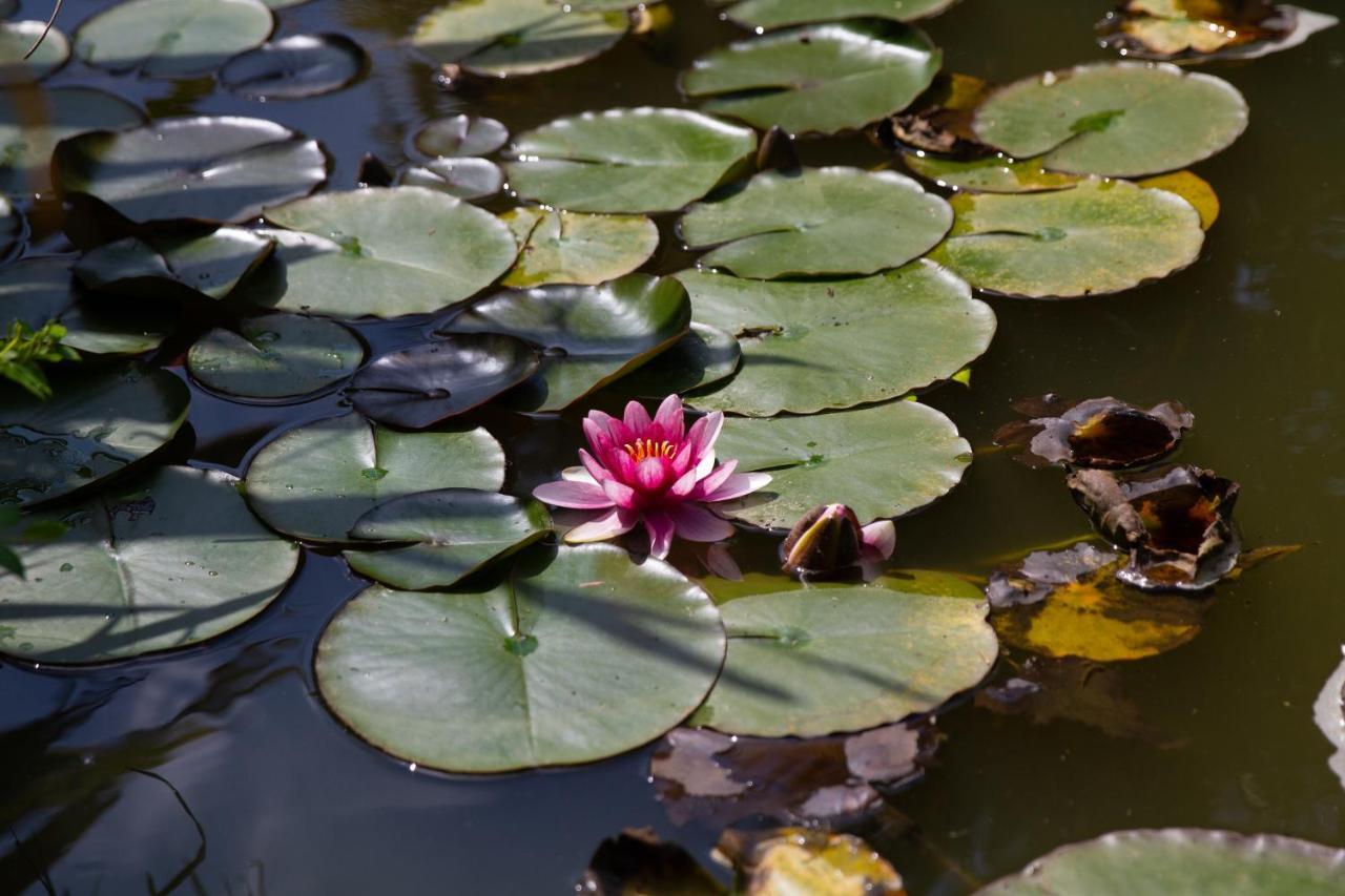 La Varangue ลากาโน ภายนอก รูปภาพ